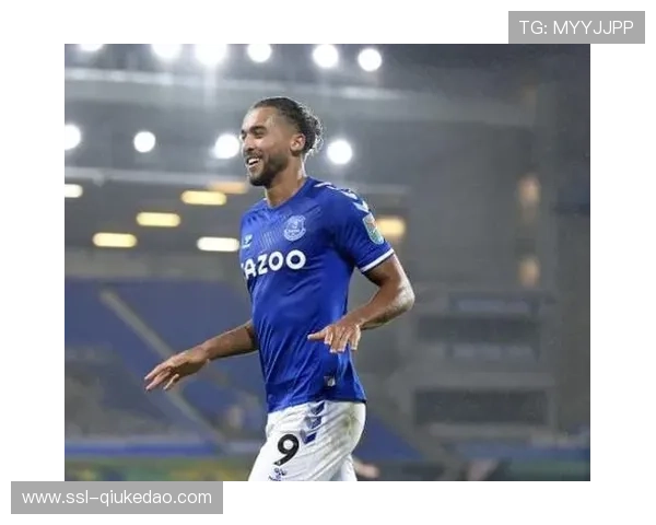 扎卡建功扳平比分 桑德兰顽强战平埃弗顿