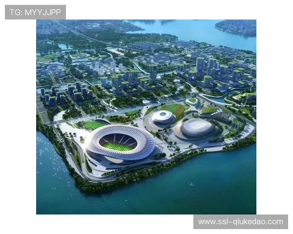 大湾区体育合作深化，全运成交流平台