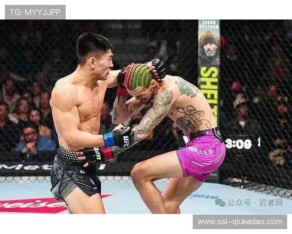 宋亚东点数负于奥马利，盖奇再夺UFC轻量级临时冠军。